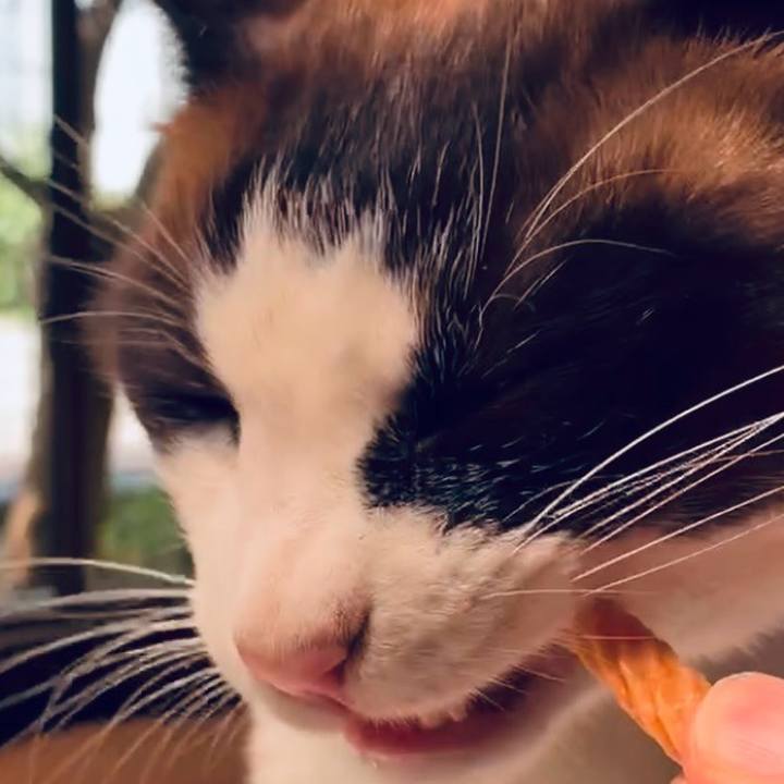 E29be924 69a3 467d 8df5 c6bfb8a50da7 1748744627823