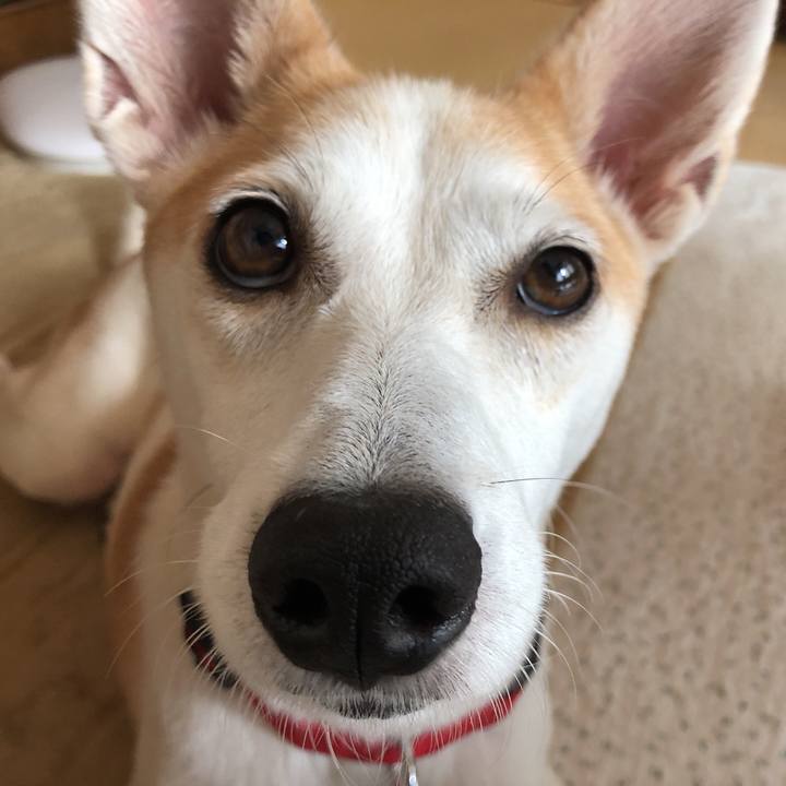 E29bf3ef cab1 4285 ab9c 0141bacda536 1600837822472