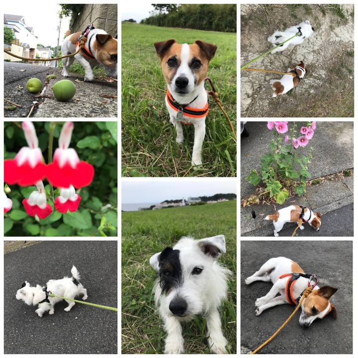 E29c5f4f ce36 43ea 9562 25bf6904987e 1527467078506