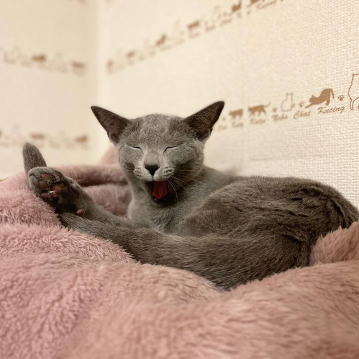 E29c82c4 5a86 43bd 8a1a 4c439d27ae5f 1645231657324