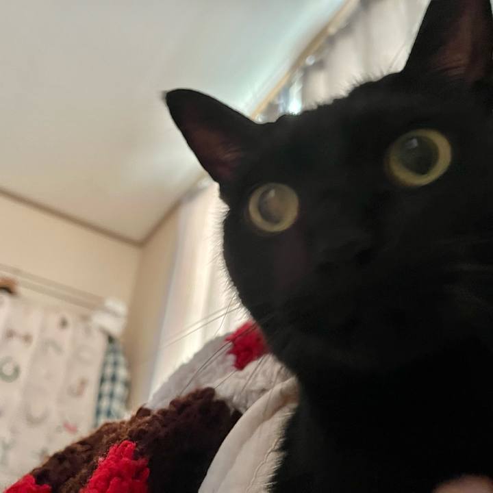 E29c8c90 6eb6 4324 b6b5 0182fcd24f04 1736582551407