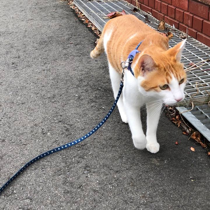 E29c922d 28d1 45df 8a19 f5ad96e107f0 1542872648549