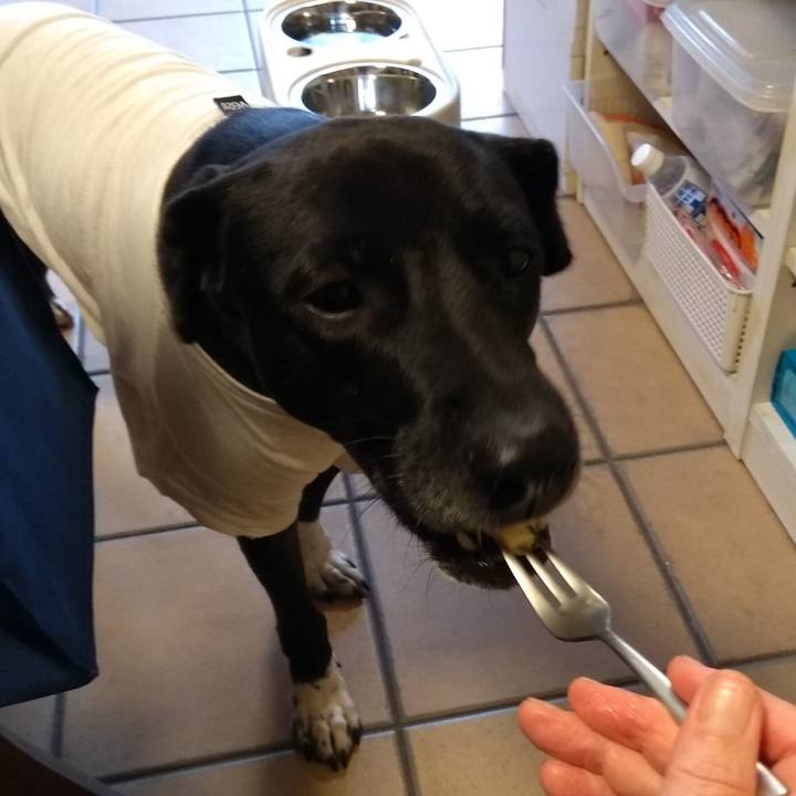 E29cd446 0add 4a14 9e43 fd9b6400719a 1607404774784