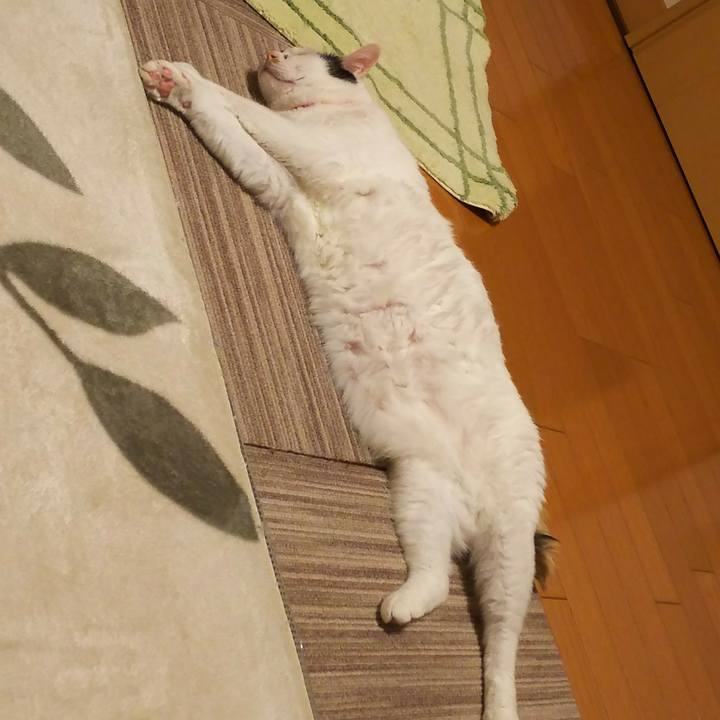 E29d0c02 9ca7 4401 875f 6cbb140fdc81 1520087203167