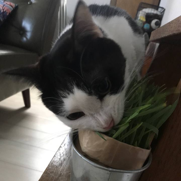 E29d118f 65e1 4381 a058 e7e59a1aa122 1523529749698