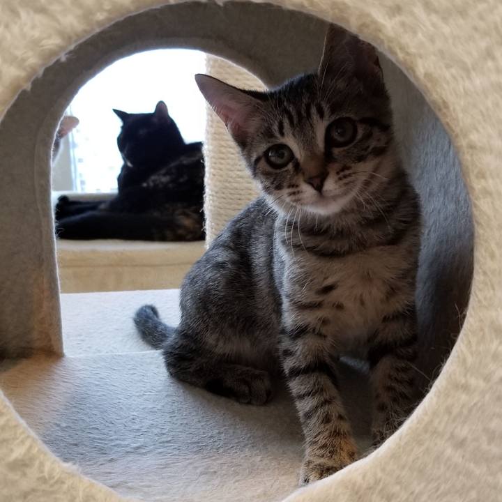 E29d23d8 2713 4019 b7e0 f6fe80115046 1538030287959