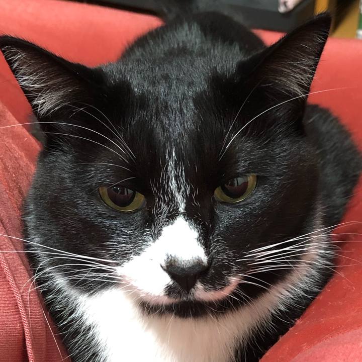 E29d3e6f f9e8 43ed ac0b 4c555aaf149b 1636246646999