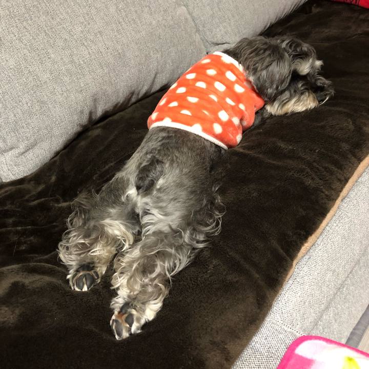 E29d5978 00a9 4220 bcc4 d9351e5c9bfc 1577003224733