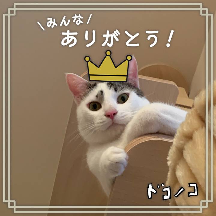 E29d9f8f d021 4190 ab0c 8f12aa9320f2 1623130172923