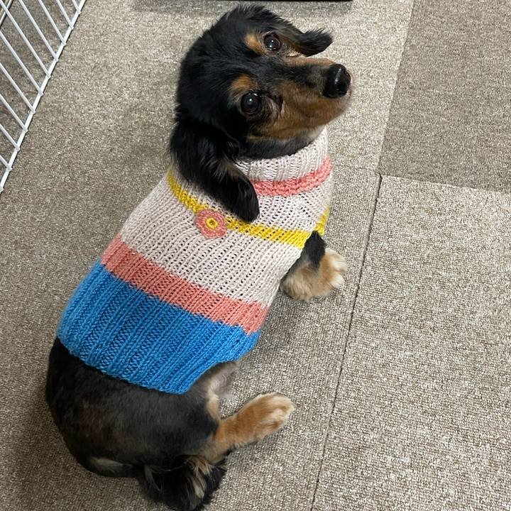 E29dd278 f1f6 456f 9fb2 a9a4fab3344c 1616665730624