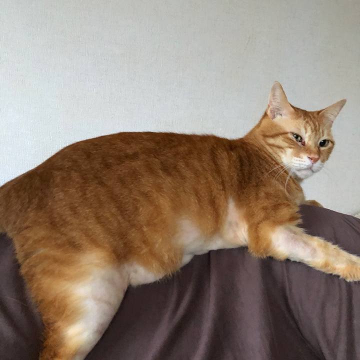 E29df8a8 4386 4455 a7c6 3a53ba47b101 1688157029501