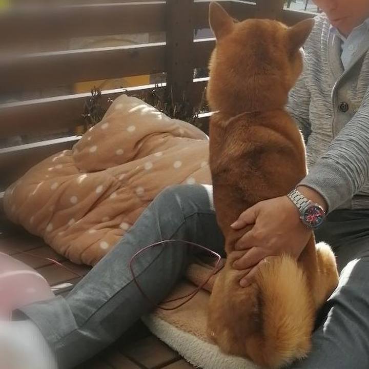 E29e1a1e eb76 4855 b564 1eaa42730404 1614426646537