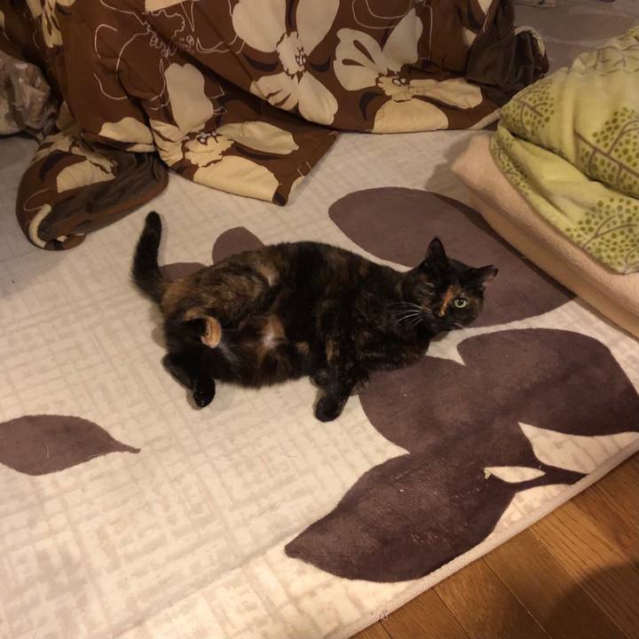 E29e21b9 a6a0 4394 8646 9090f5f17a85 1610068767634