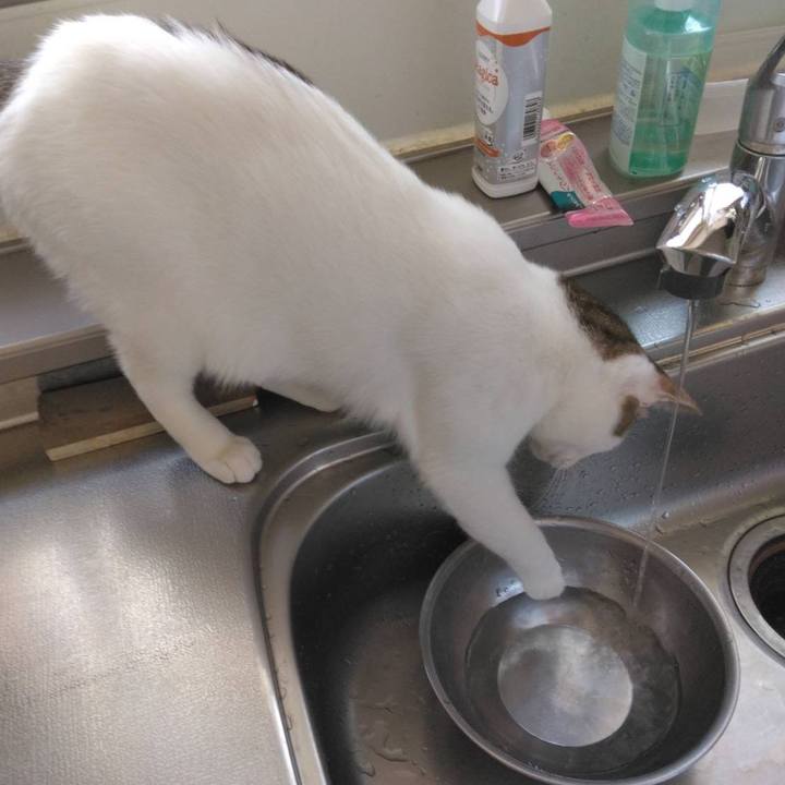 E29e5f2b 2029 41b1 8d5a ad22196133b4 1680667273013