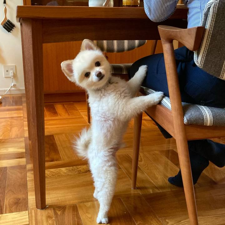 E29e8f24 8683 4e63 a426 16e5f8998dae 1636069043331