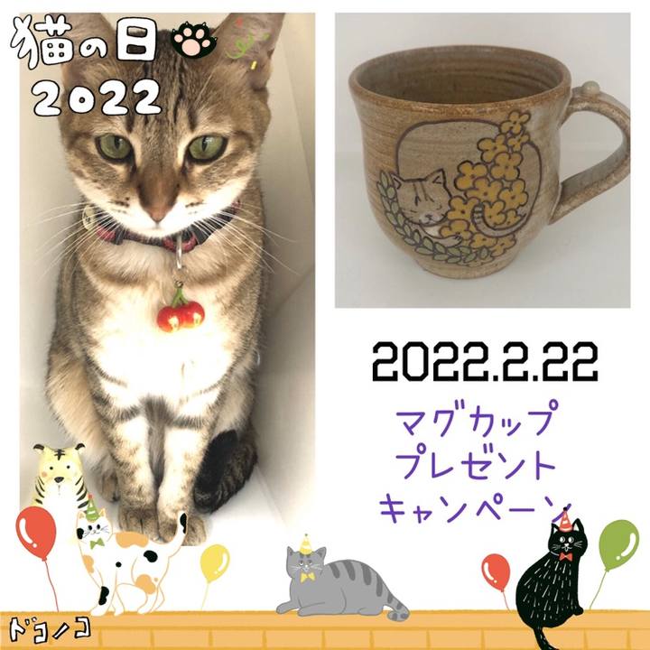 E29eab61 54fb 4e4b 8ae7 486d19d736d3 1645496787456