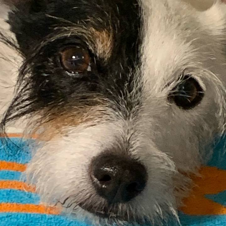 E29ec8cb 4ab9 4474 9978 8e8cea3dac85 1691232847087