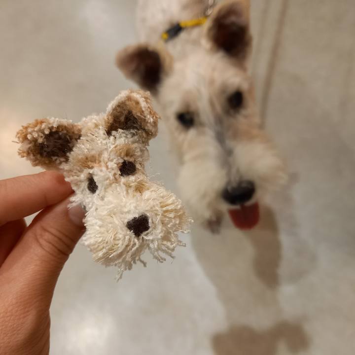 E29ed841 332d 4f54 a790 4ad6b4955be6 1636281355755