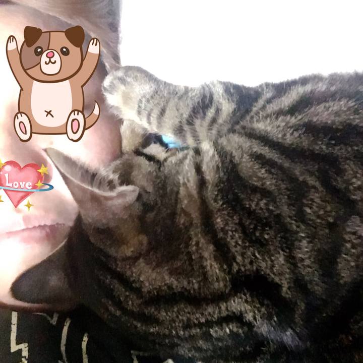 E29f2f2d 29ca 4bc0 8a2b 9bea0bb65398 1554860128311