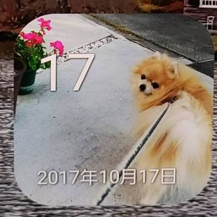 E29f5e58 515d 4649 8038 5365d04198c5 1634469591689