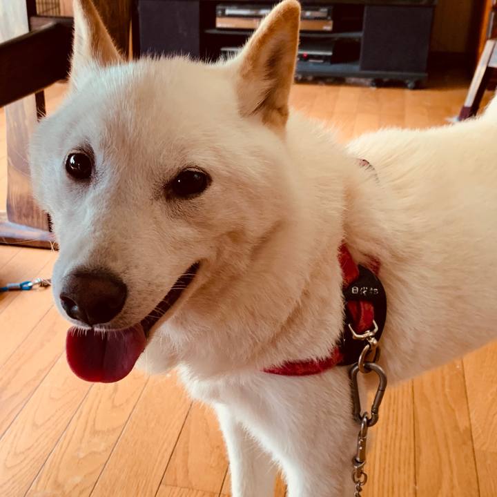 E29f6e64 a978 47a7 bea6 56f8f50c90f5 1563949639514