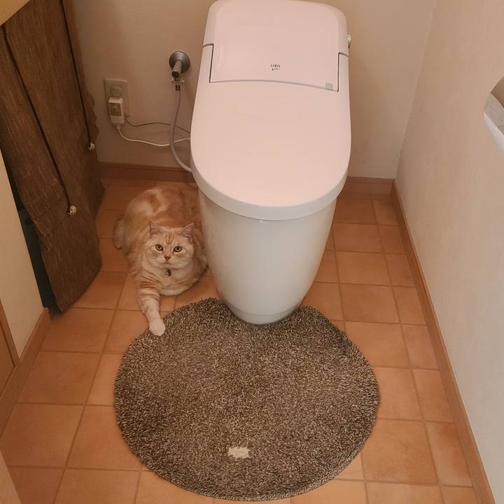 E29f973c 5140 47a1 8384 d7178396bf07 1623728838176