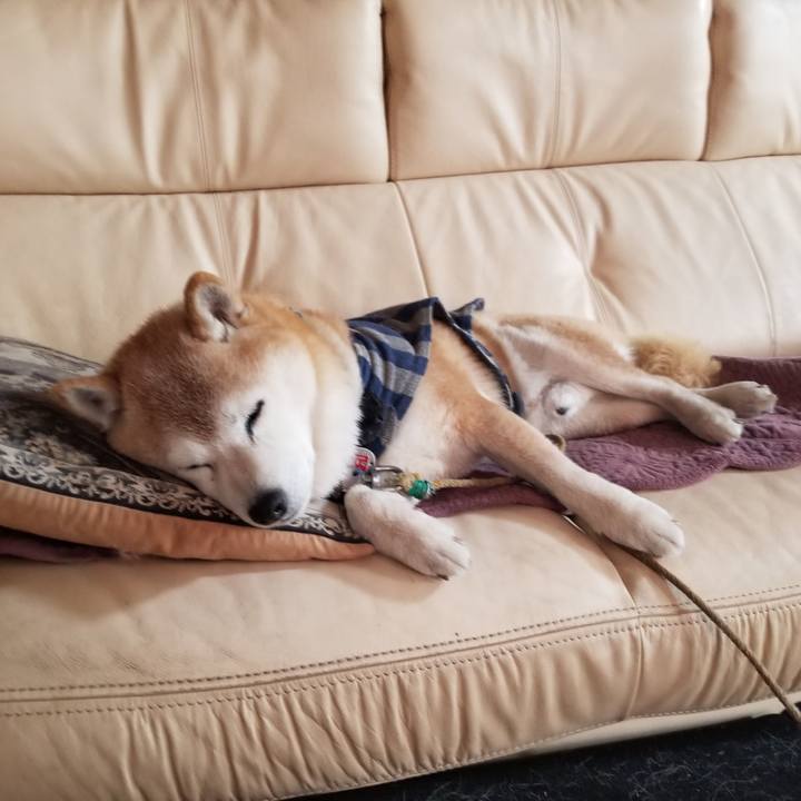 E29fd88f 5ea6 41cb 96f9 2a2bcc5ef02f 1708905241726