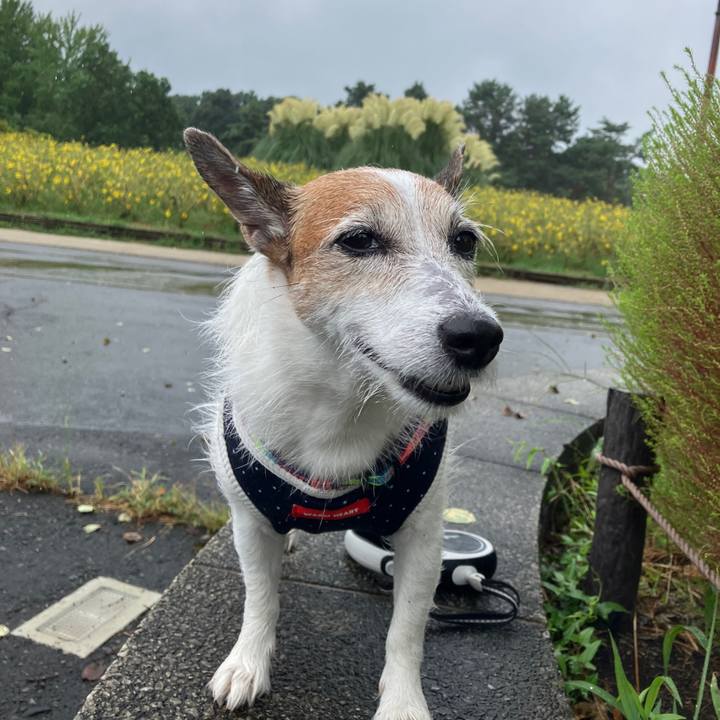 E29ff55f 83da 42a0 b498 8eb090e57b86 1726528172059