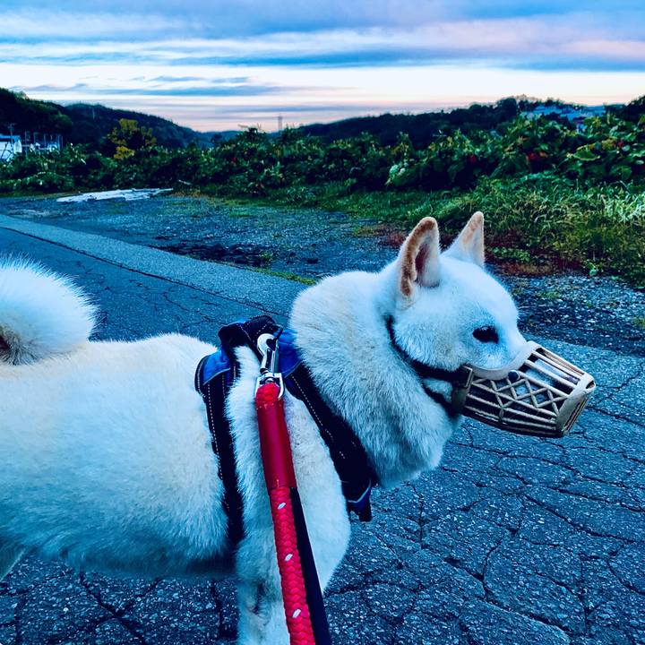 E2a00216 b418 4a16 8d21 331b370d05fe 1664312995852