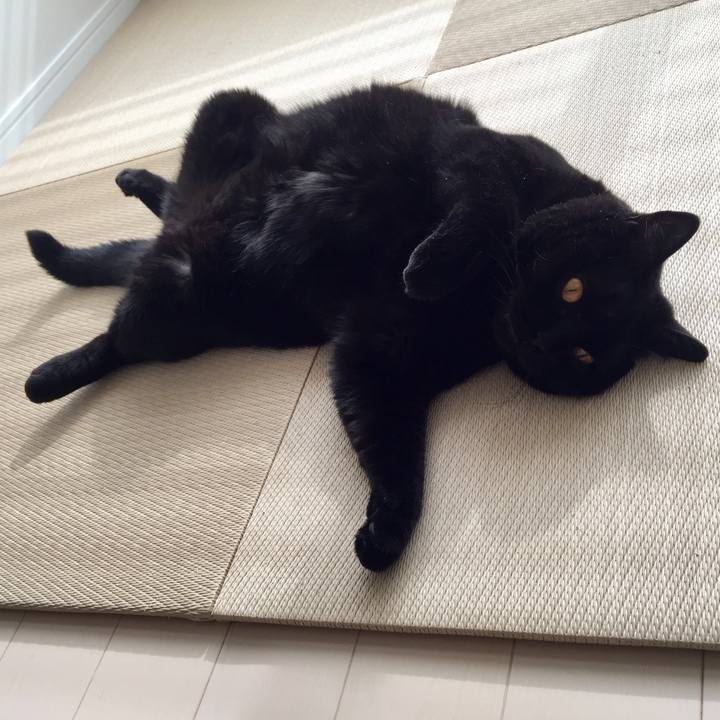 E2a02528 638a 4928 83de feac5dc3f4e1 1572241119170