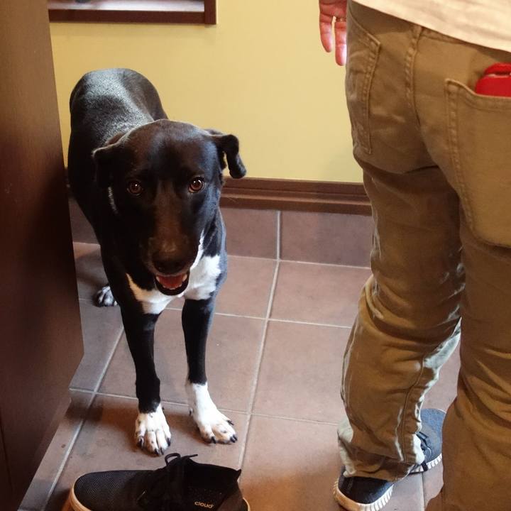 E2a09fa7 1bd5 4f15 8e15 6551bc5c9740 1596758012978