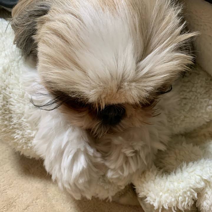 E2a0b59c de69 4cb5 9e32 fd7b208ff257 1612698856869