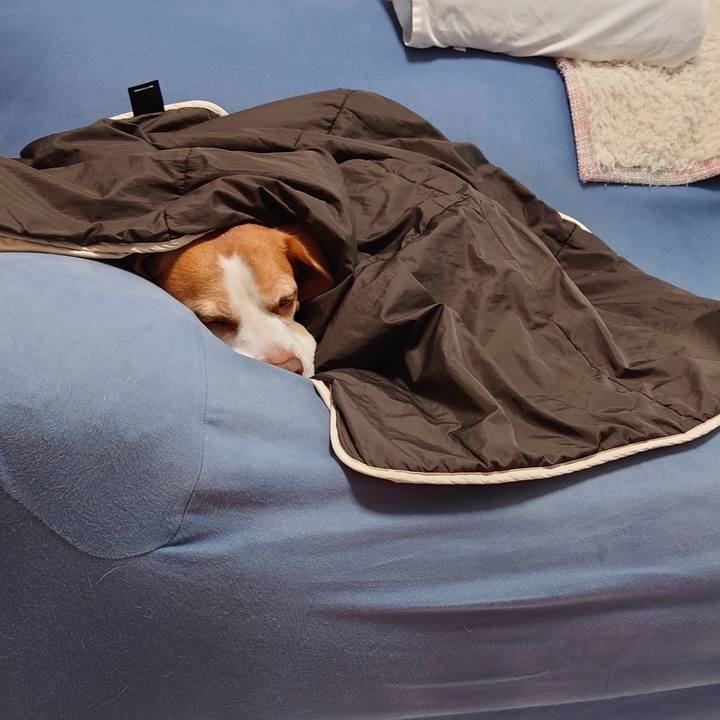 E2a0c6f3 f8ee 4e58 b78c a3ccb6aa585e 1665109055404