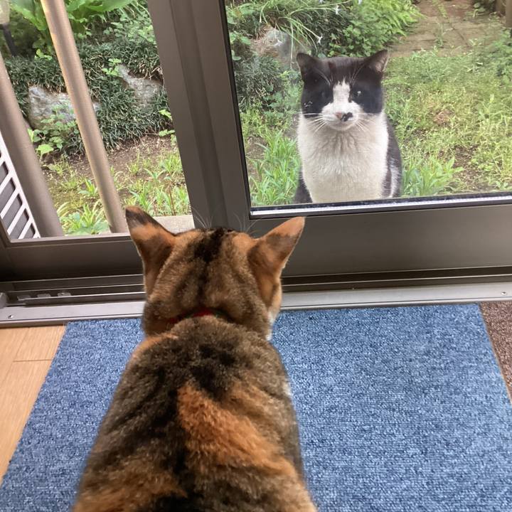 E2a0df94 af5d 41ae b0ec beadf23dda18 1650492059897