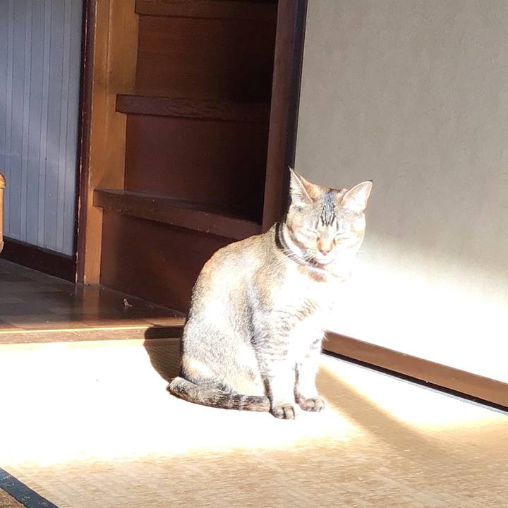 E2a0e62b 51e1 446d 95fb 808f1cc5a1cc 1616711640586