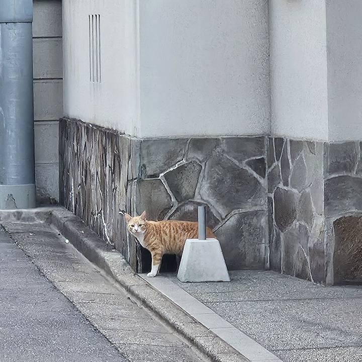 E2a0f9af e6de 4795 b5b8 1cbfc9c88c26 1710648228208