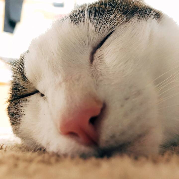 E2a10718 43a7 4284 b10a f6f664d34cf2 1606054006256