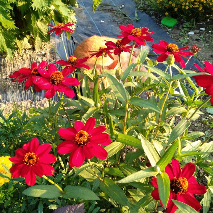 E2a12d9d 6f19 4c22 83ae 5038b65f86fa 1690019389027