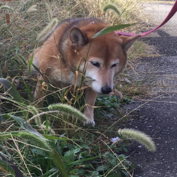 E2a134c7 787b 4ea0 87f8 3d9388366578 1607223323168