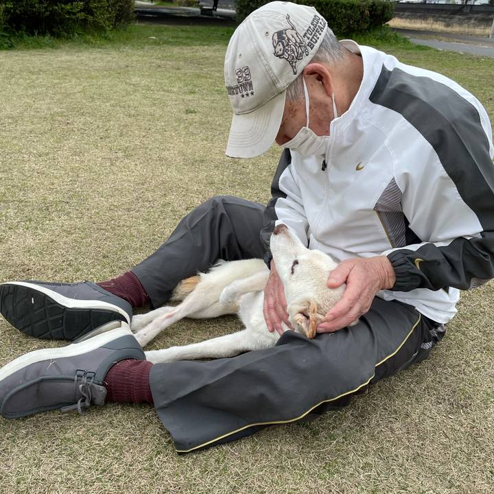 E2a13662 719a 430c 97ce fb2c7556c463 1679314847187