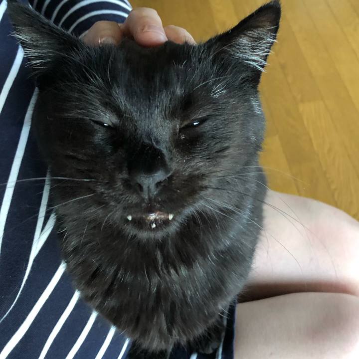 E2a15707 0d3c 4853 899d 3078de91e857 1591044850952