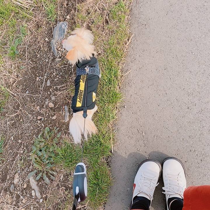 E2a160b2 8fc8 46d7 af1a 973c64a830c7 1614849540793