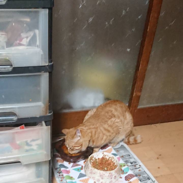 E2a19a1f 763e 49c5 9b82 744dacbe2347 1652648821726