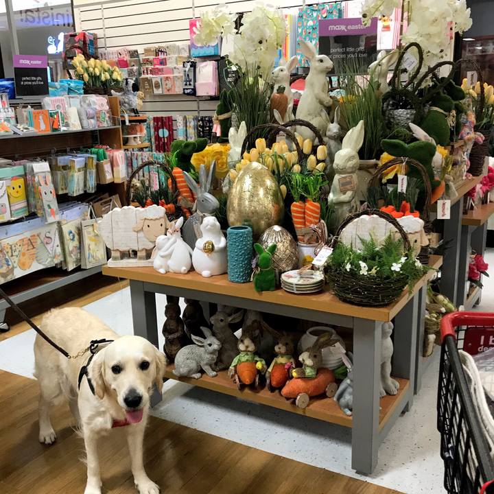 E2a1ac4a 8a1c 4b0b 8c50 906a7ed75ad6 1520577757157