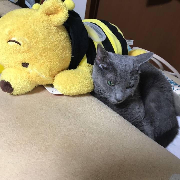 E2a1bf1d 65fa 4db5 b1f5 be64106786ef 1510217662857