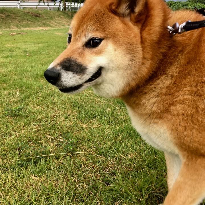 E2a1e07b 16c9 466e b1de c523f4588b6e 1563932168223