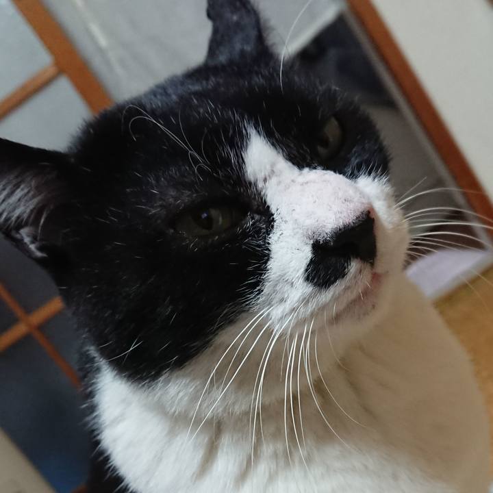 E2a1e421 4d6b 43cf ab41 1adda4a7e6fb 1543274174495