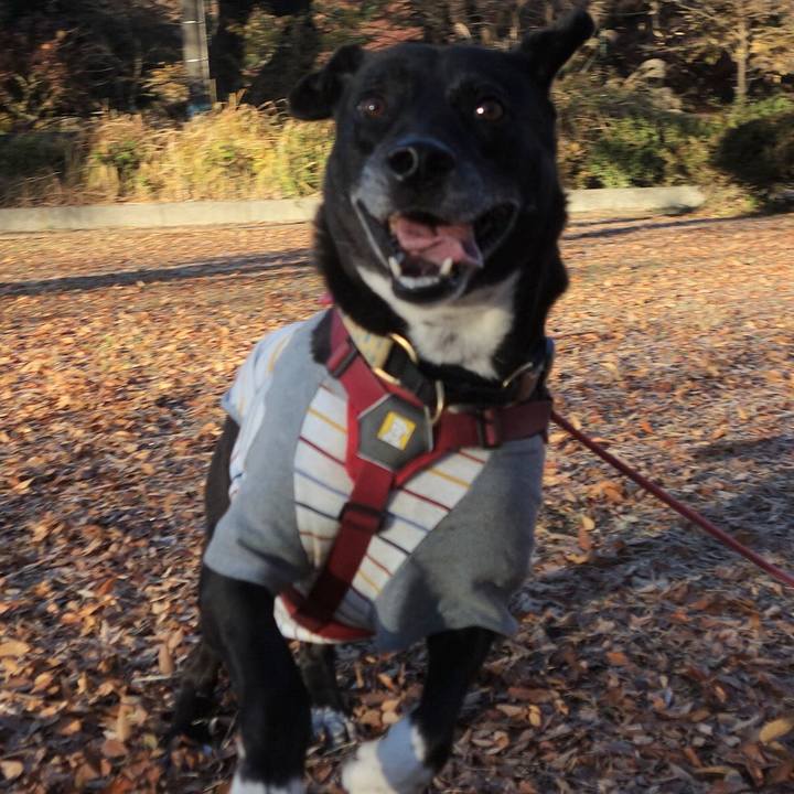 E2a212de 4a46 4ecd 8131 bde47b3c7c30 1701652751623