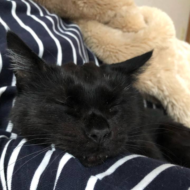 E2a21d10 bd37 4156 ab65 1d3a02b3de33 1583050939352