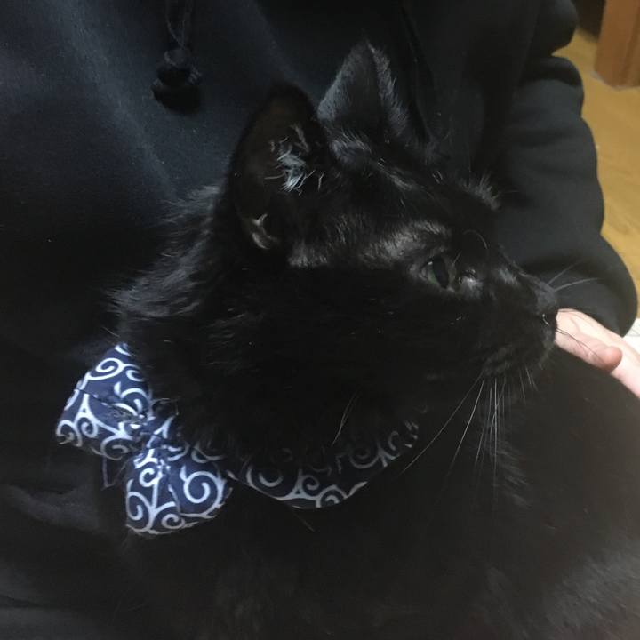 E2a2c196 c93b 4082 a6dc 0ecc05a3dbde 1548752397778